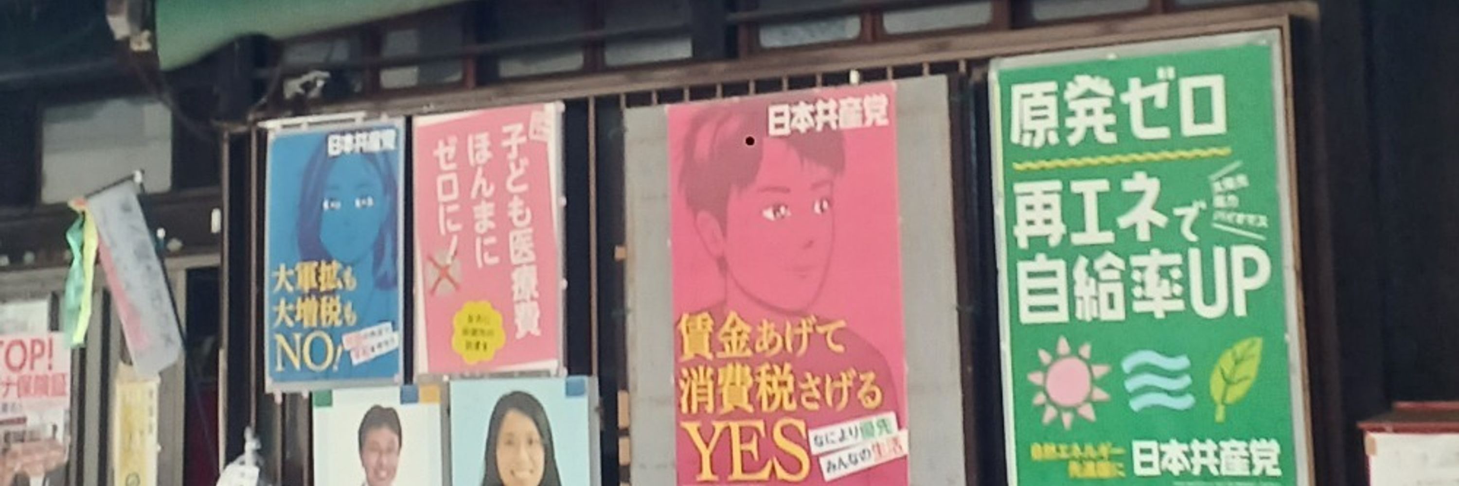 松本真麗