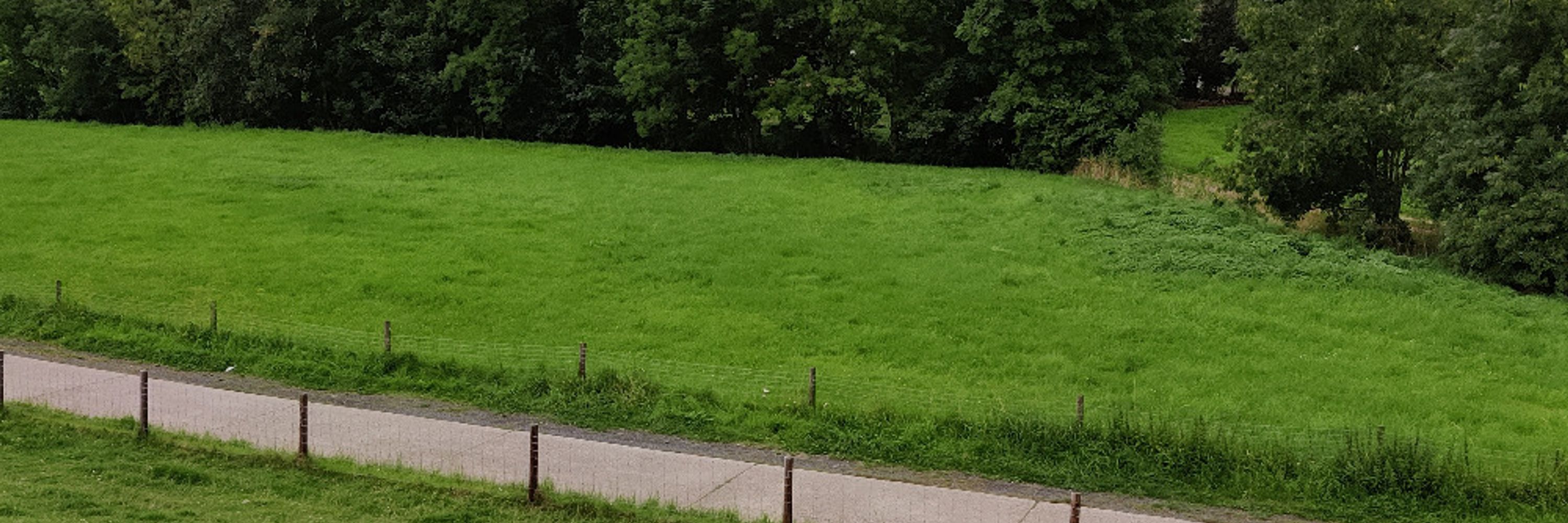 Meapi