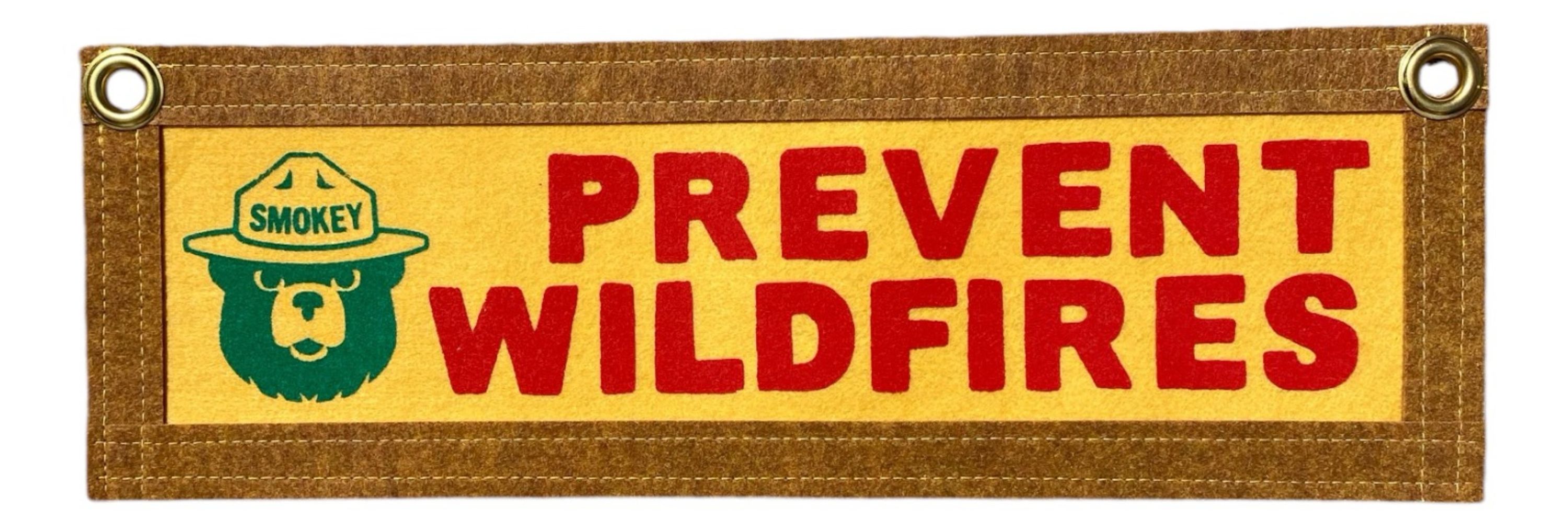 Hook and Loop Pennants