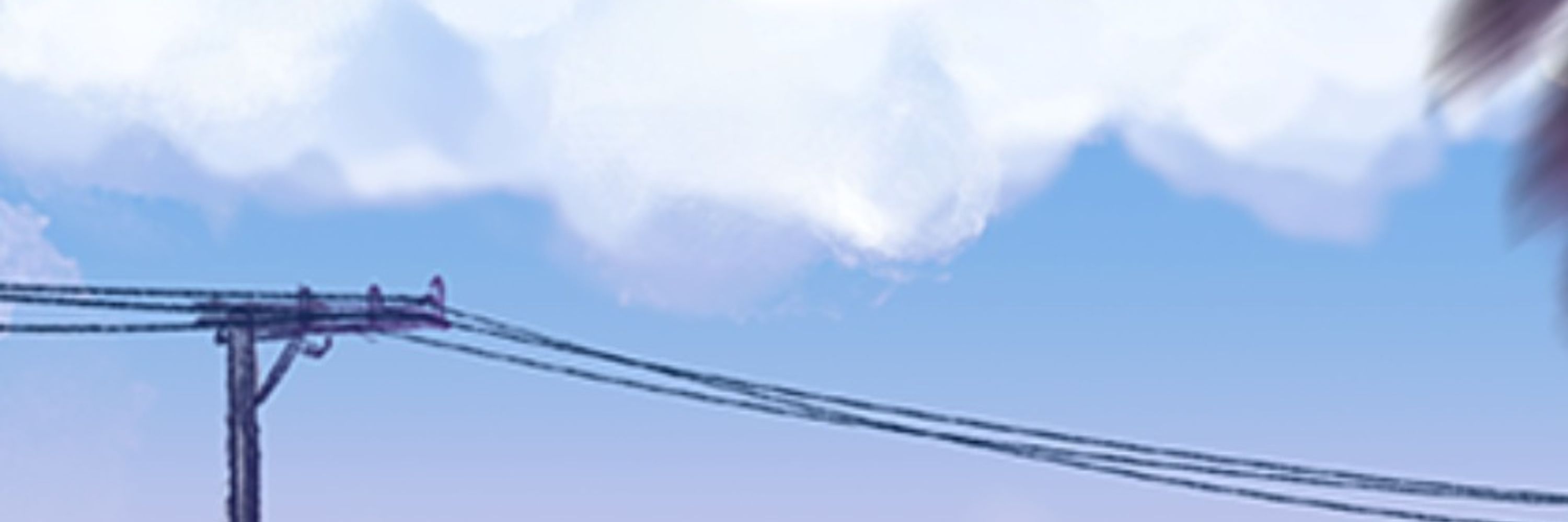 Profile banner