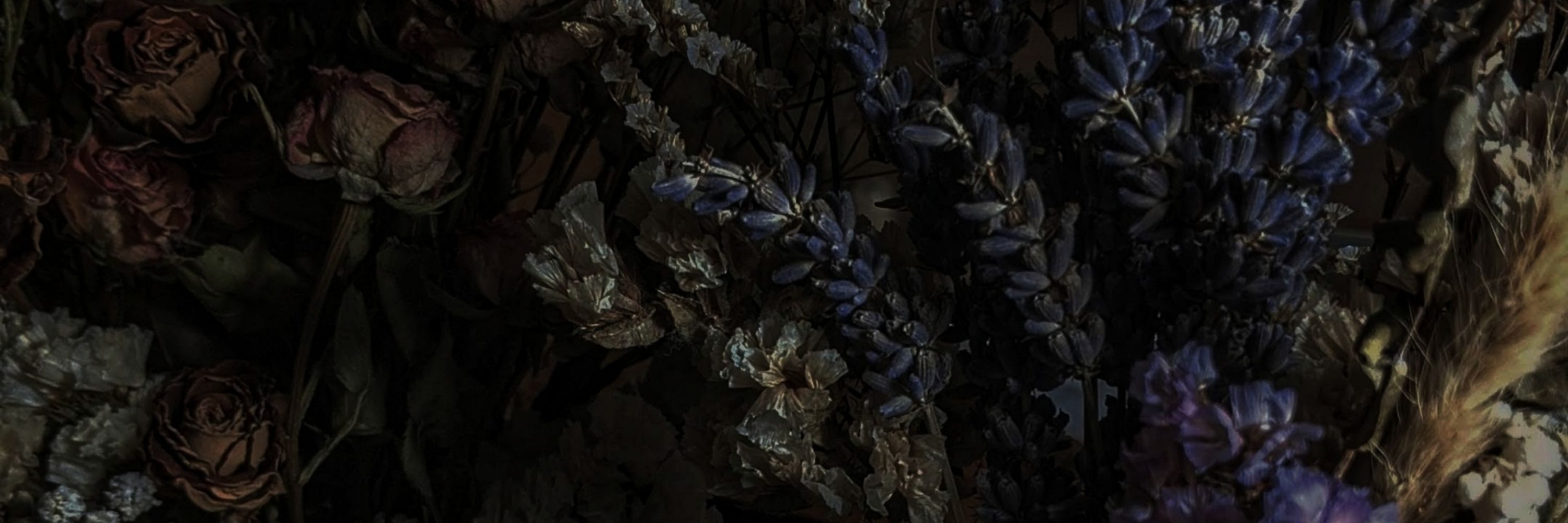 🥀💀🫀🗡️🦋