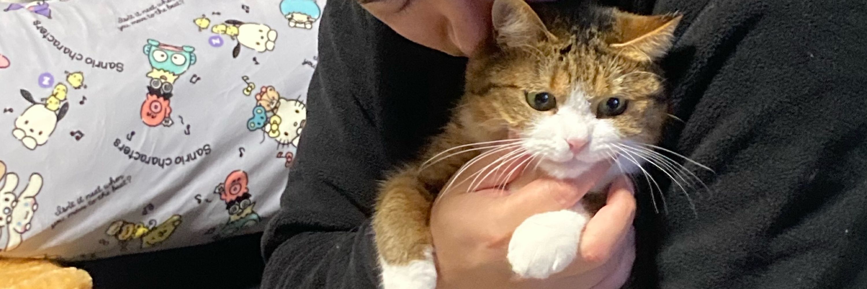 さくちゃ