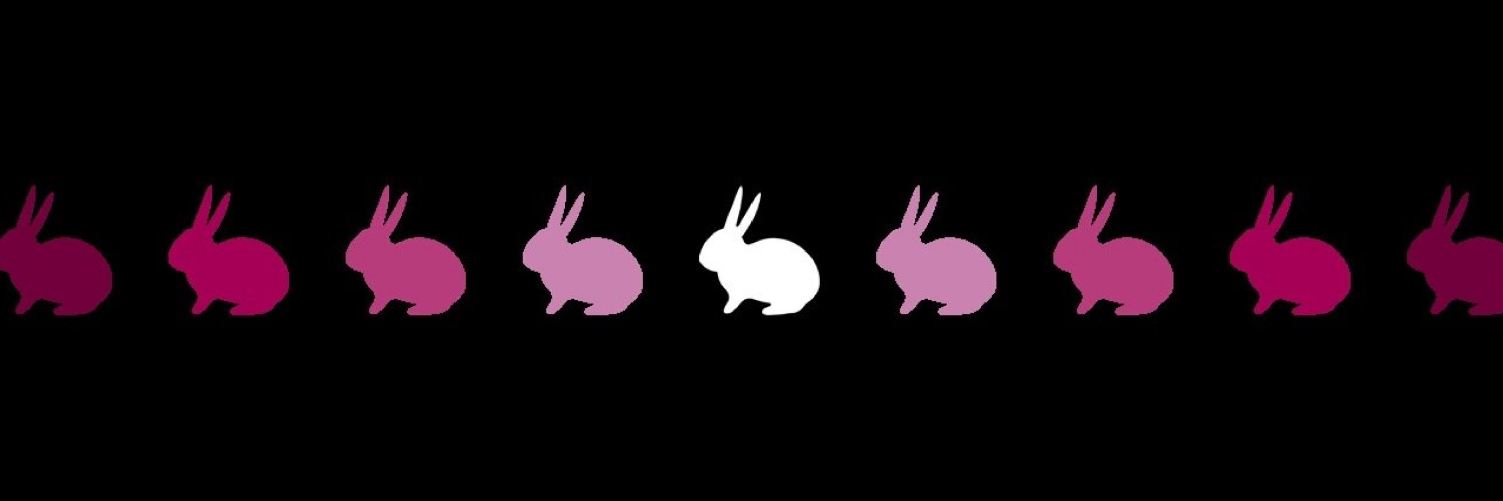 White Rabbit Cabaret