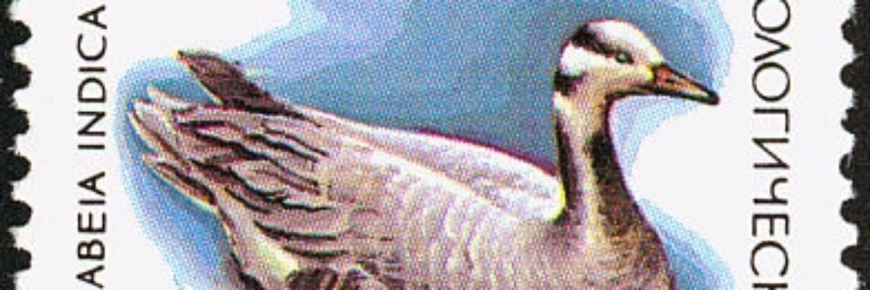 john h