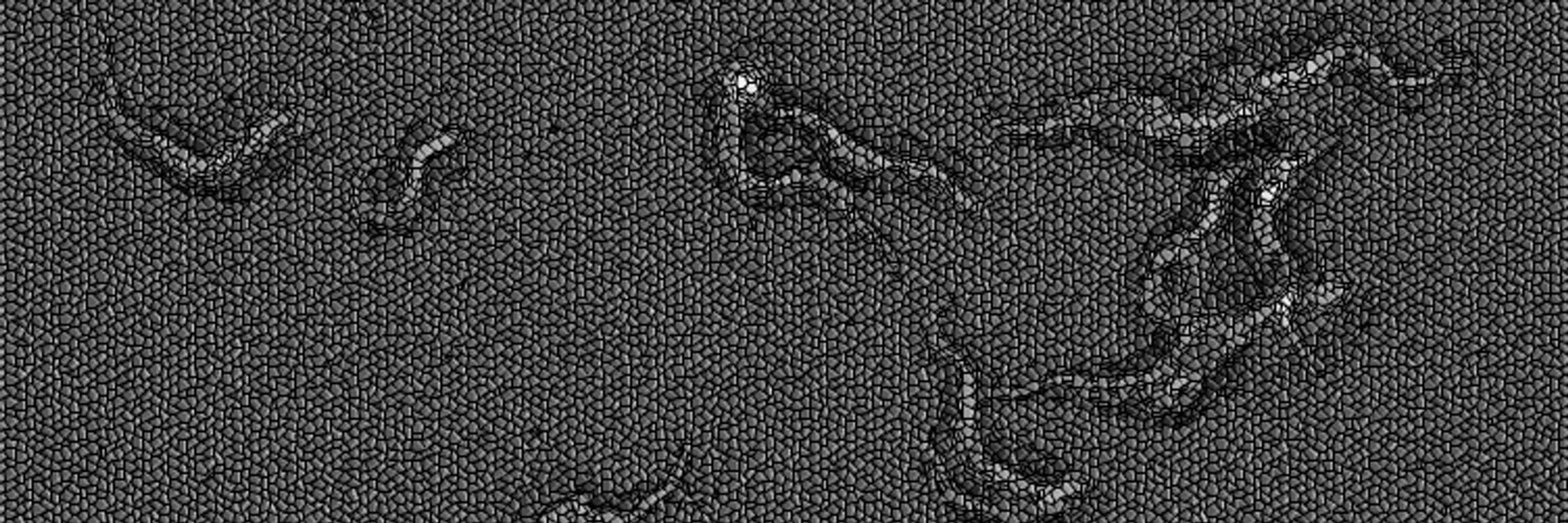 Pete Steketee