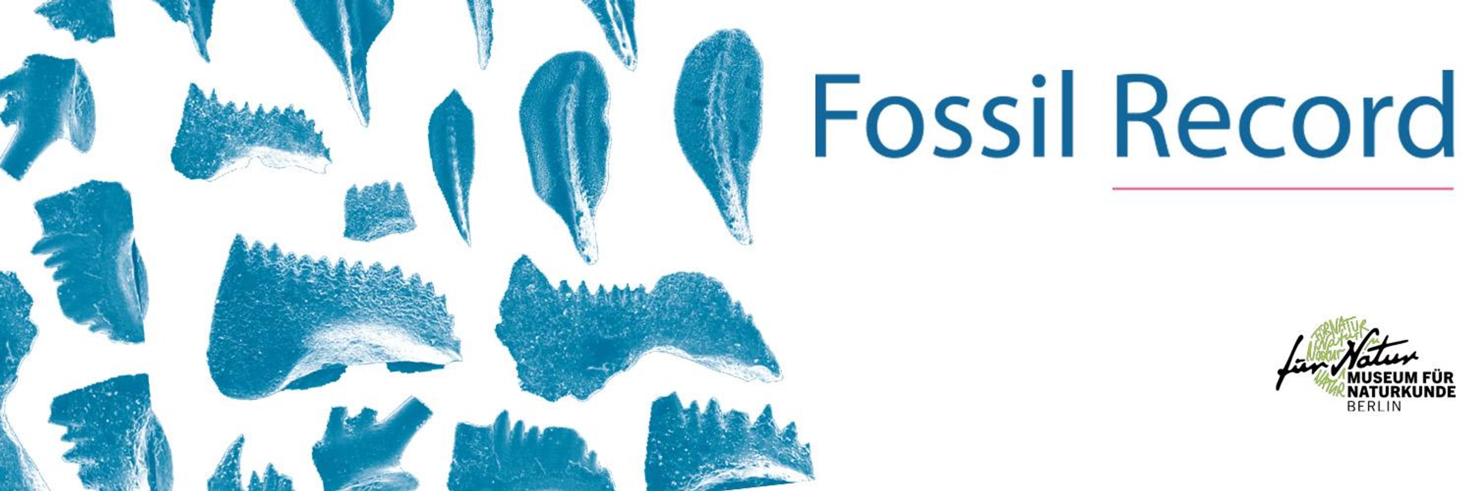 Fossil Record