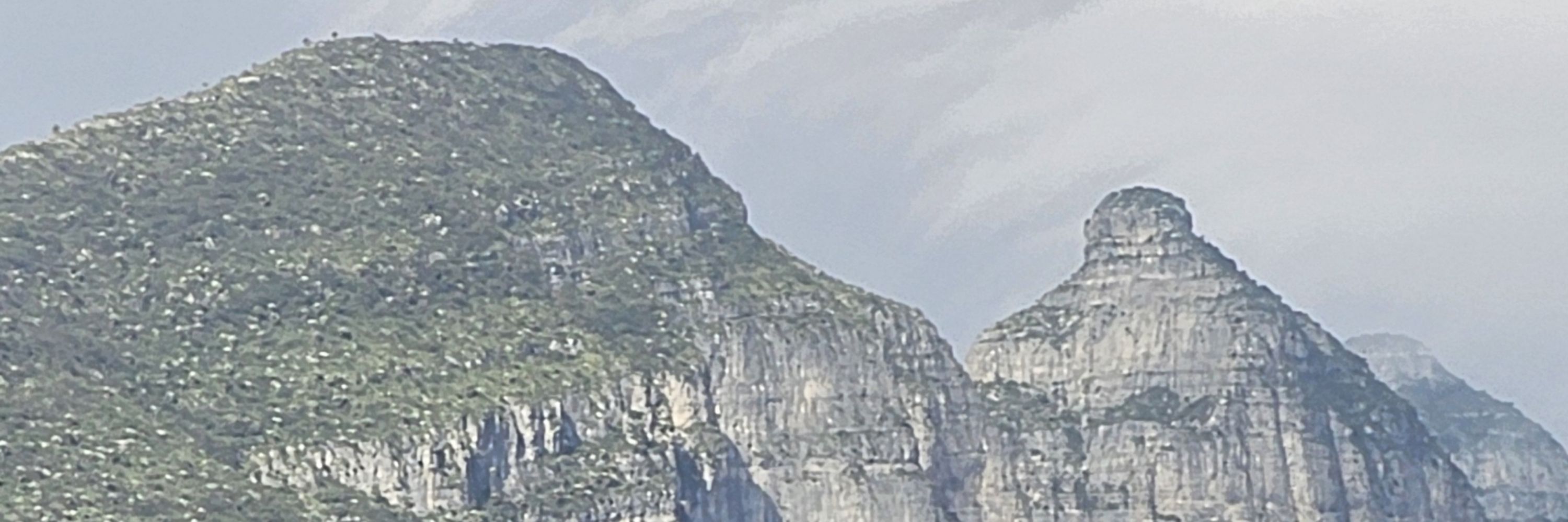 Octa