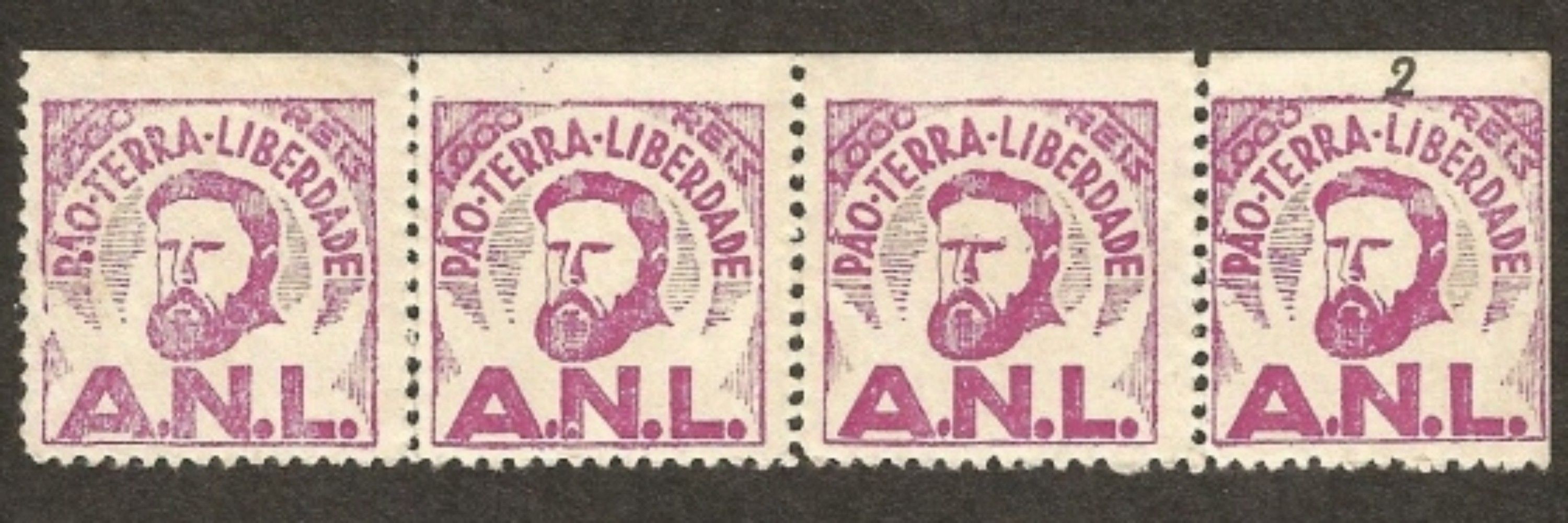 Nova Aliança Nacional Libertadora 