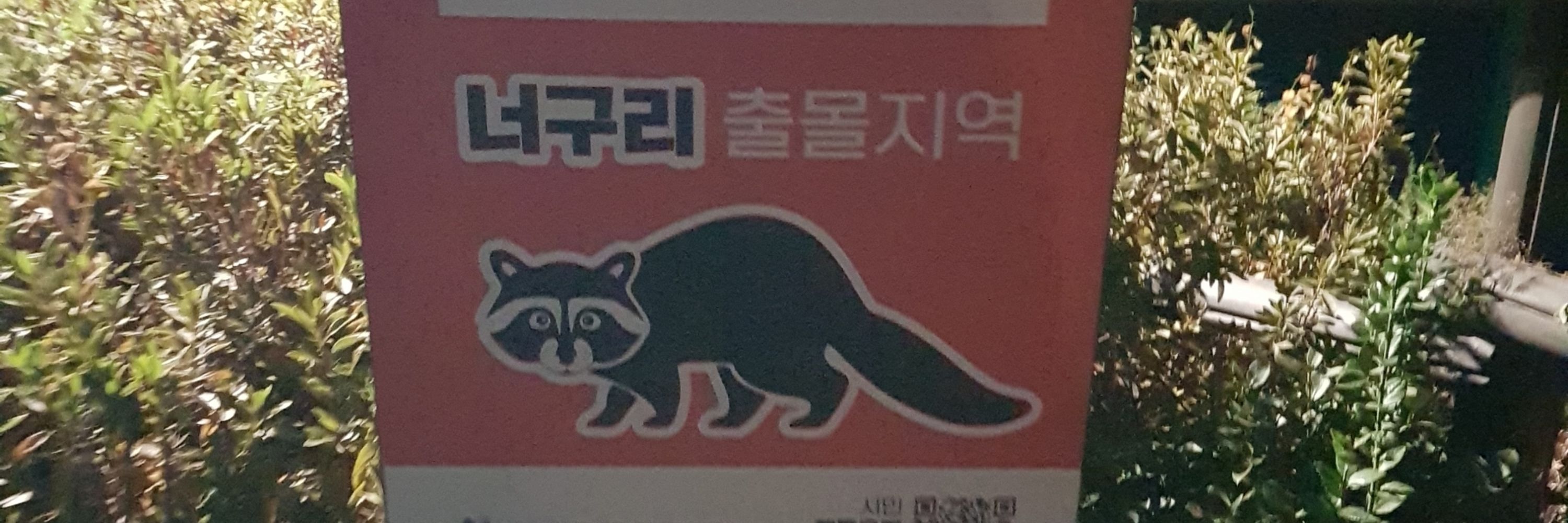 유마