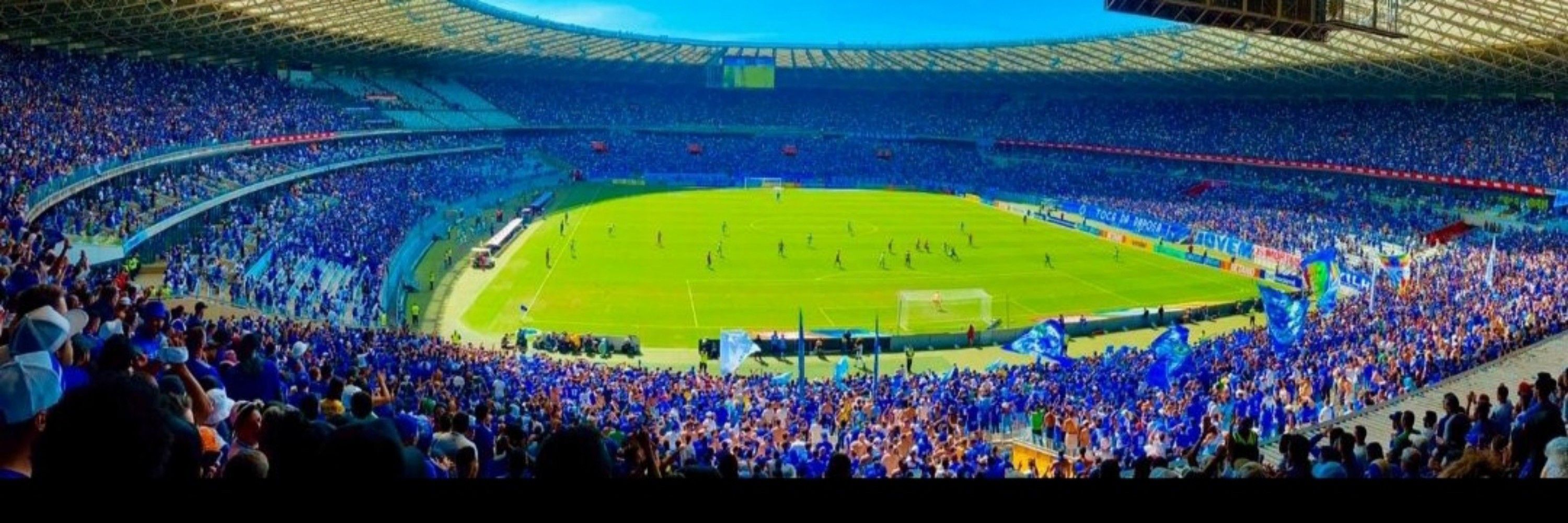 Cruzeirão fenômeno 💙🦊