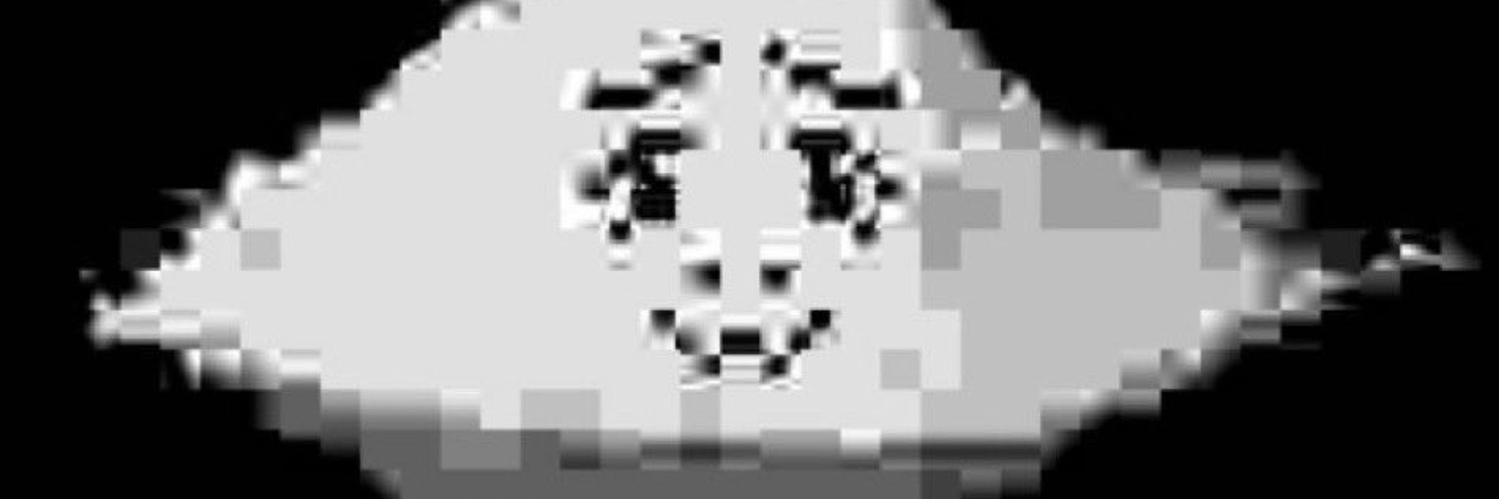 FLOWEY