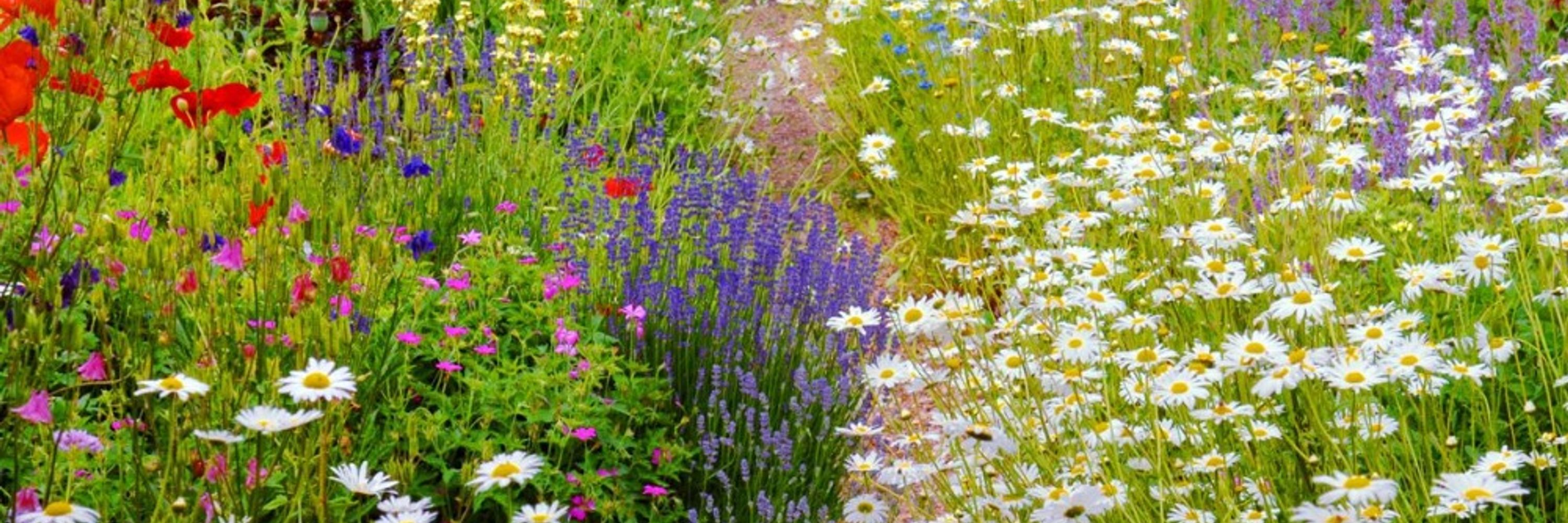 Anú Garden Design