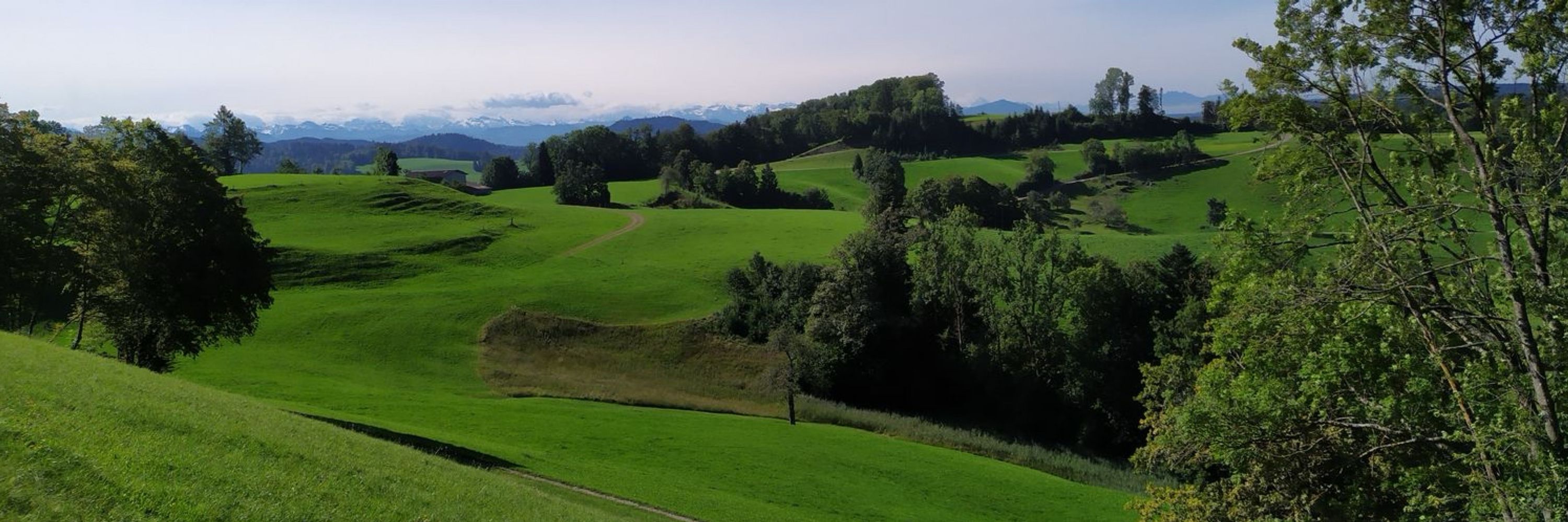 R. Clavadetscher