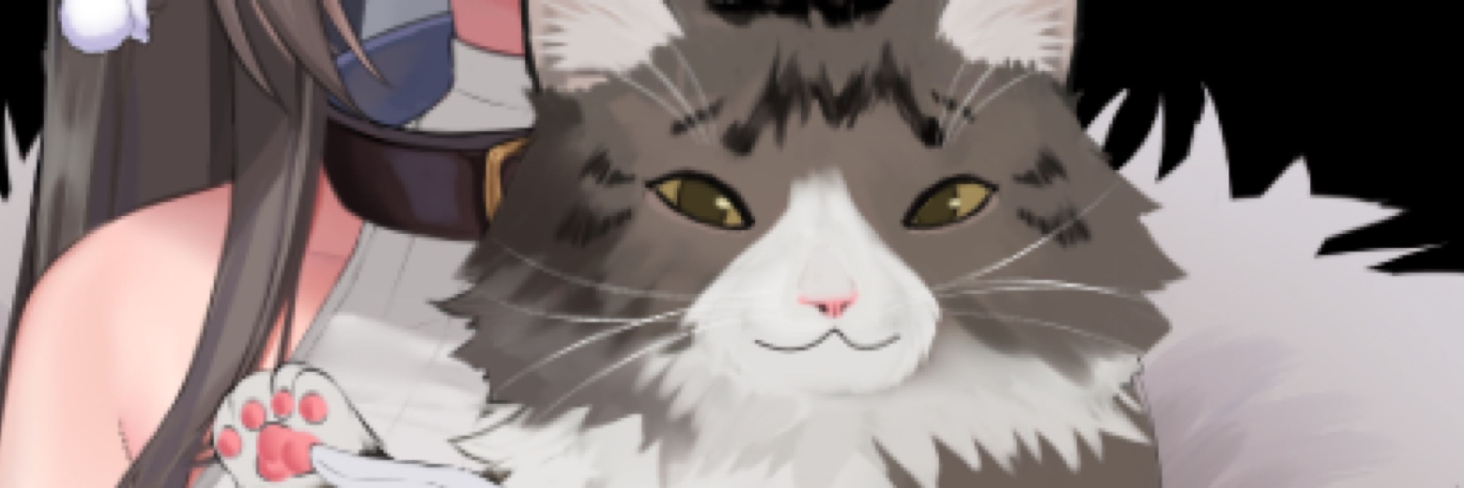 あかはねこ