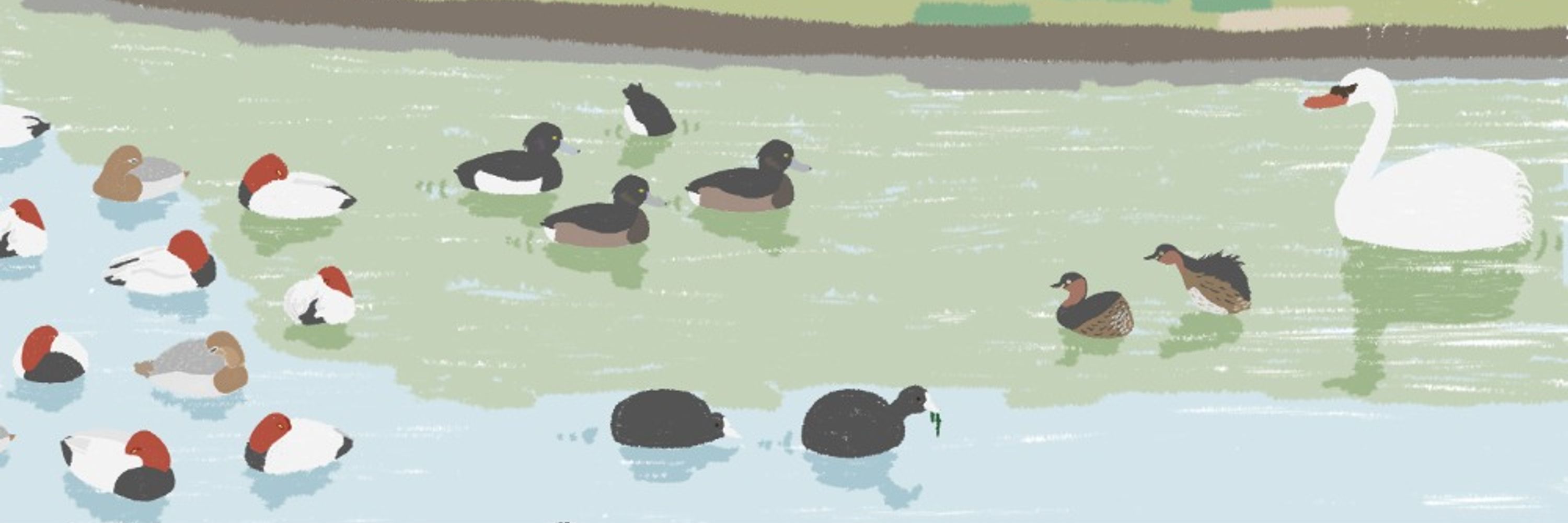 ｼﾉ𓅨