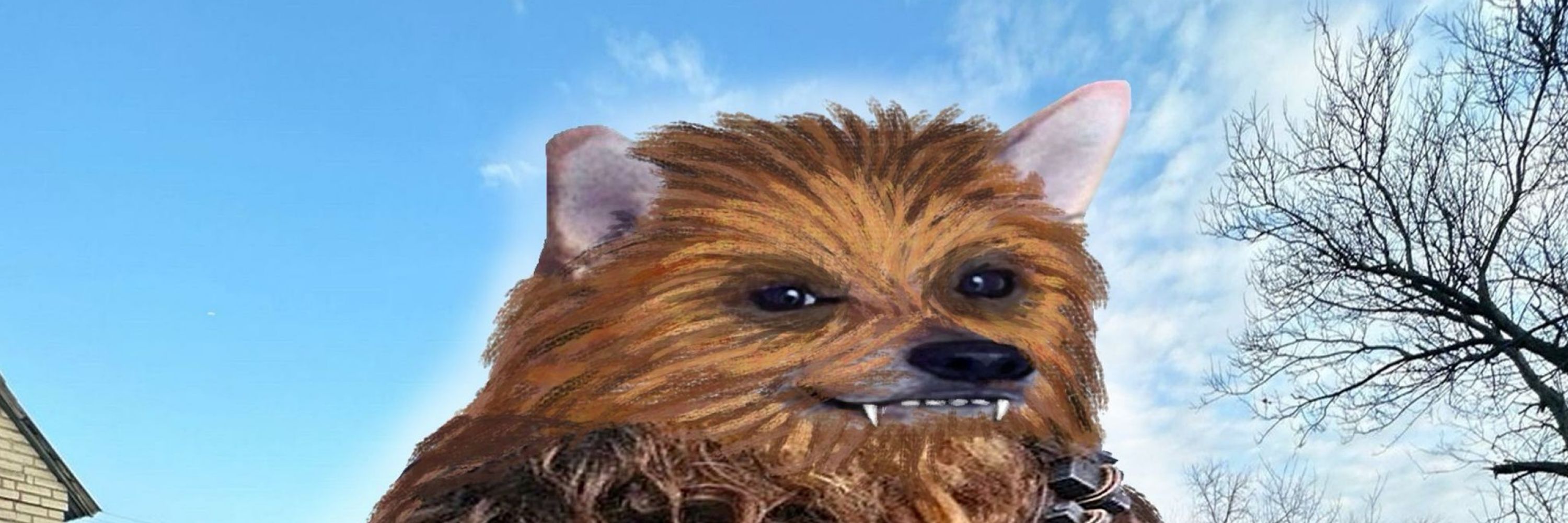 Callsign Chewbacca
