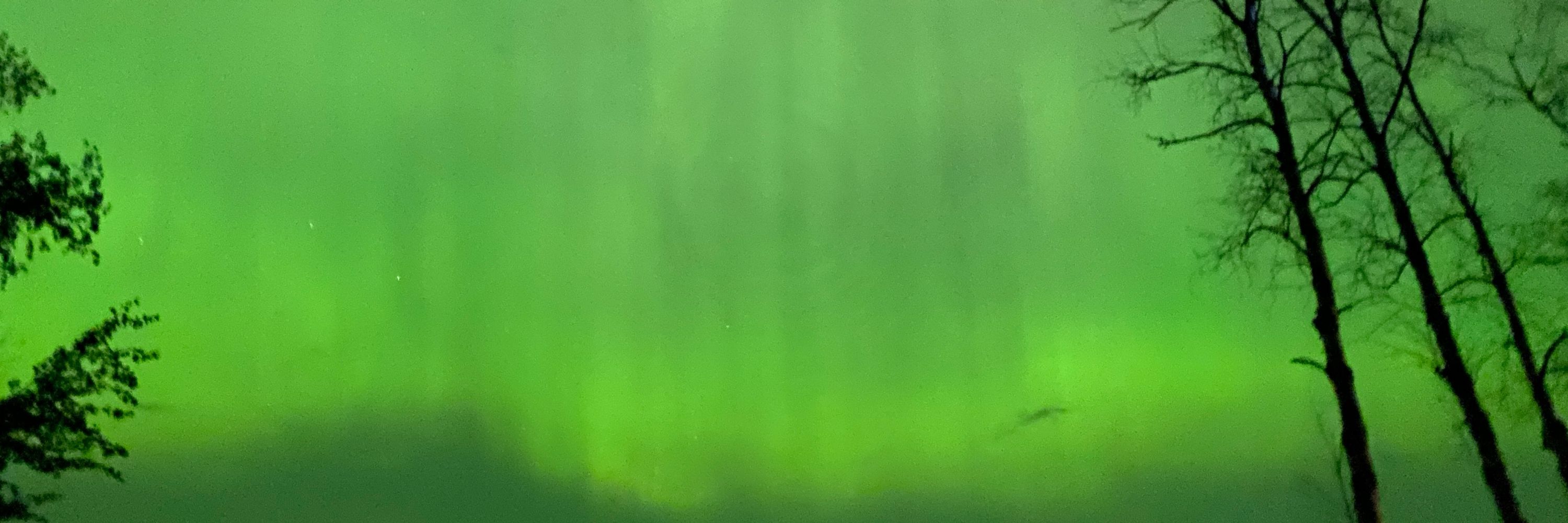 greenteamoon