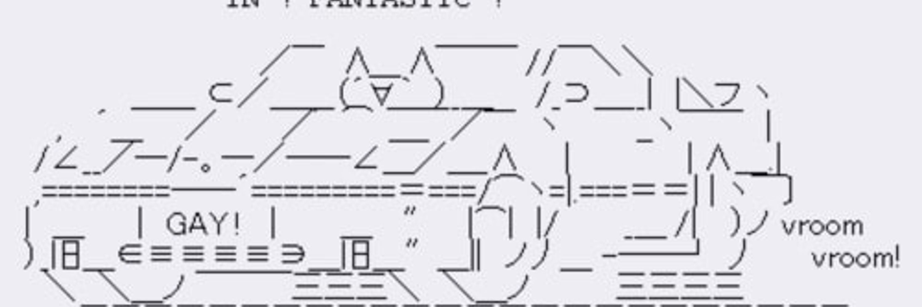 computer cat