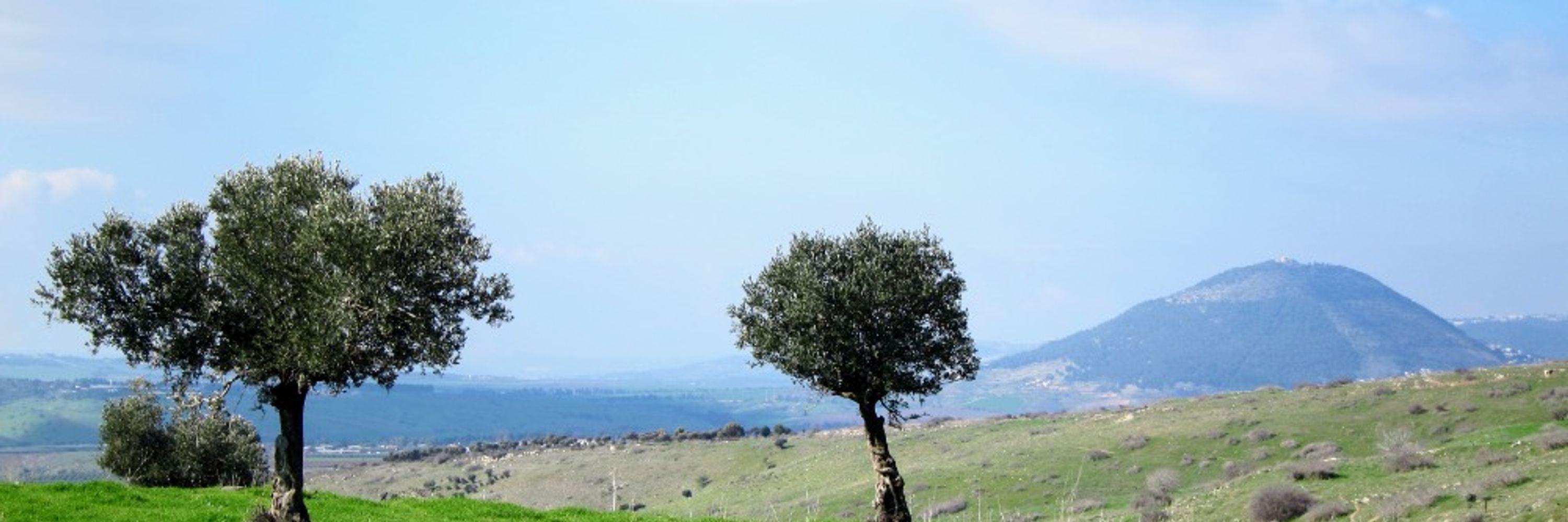 Asaph Zylbertal
