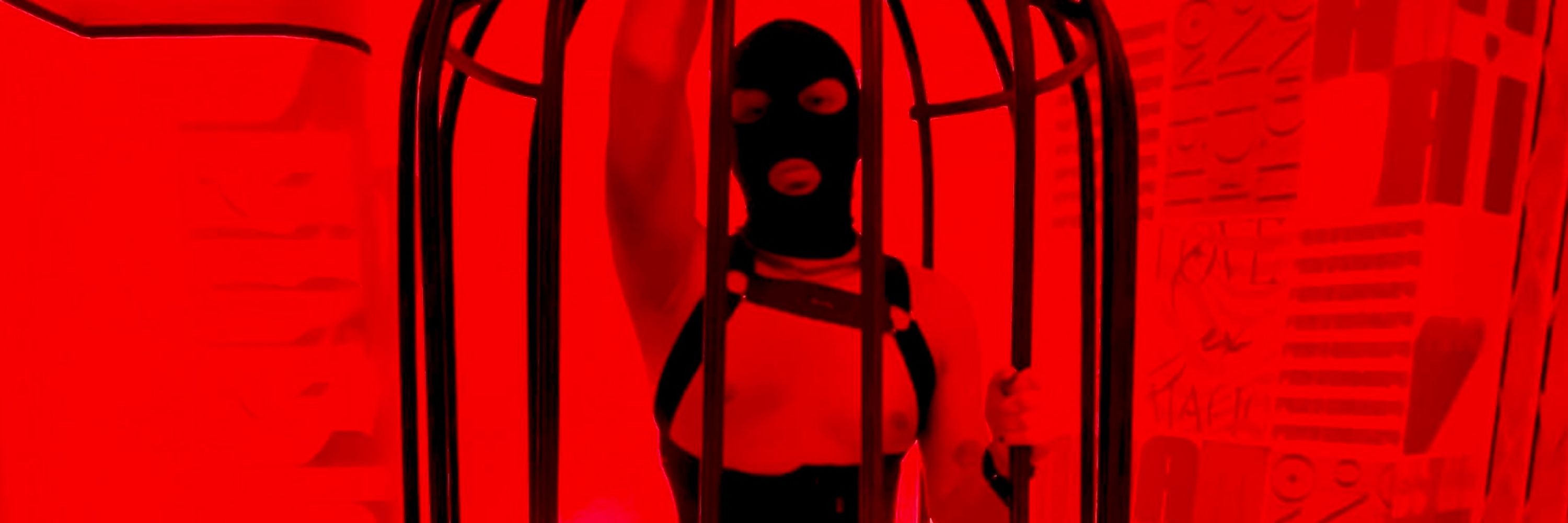 UNIQUE 🔥😈 PRIVACY 19,99