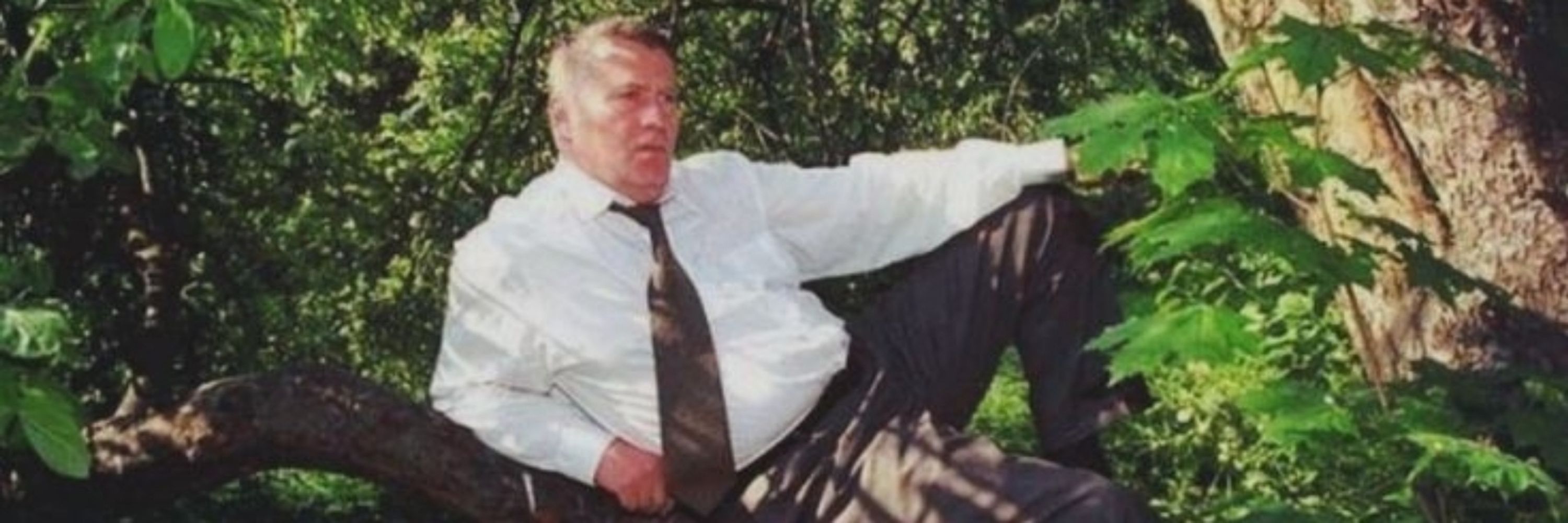 линлин