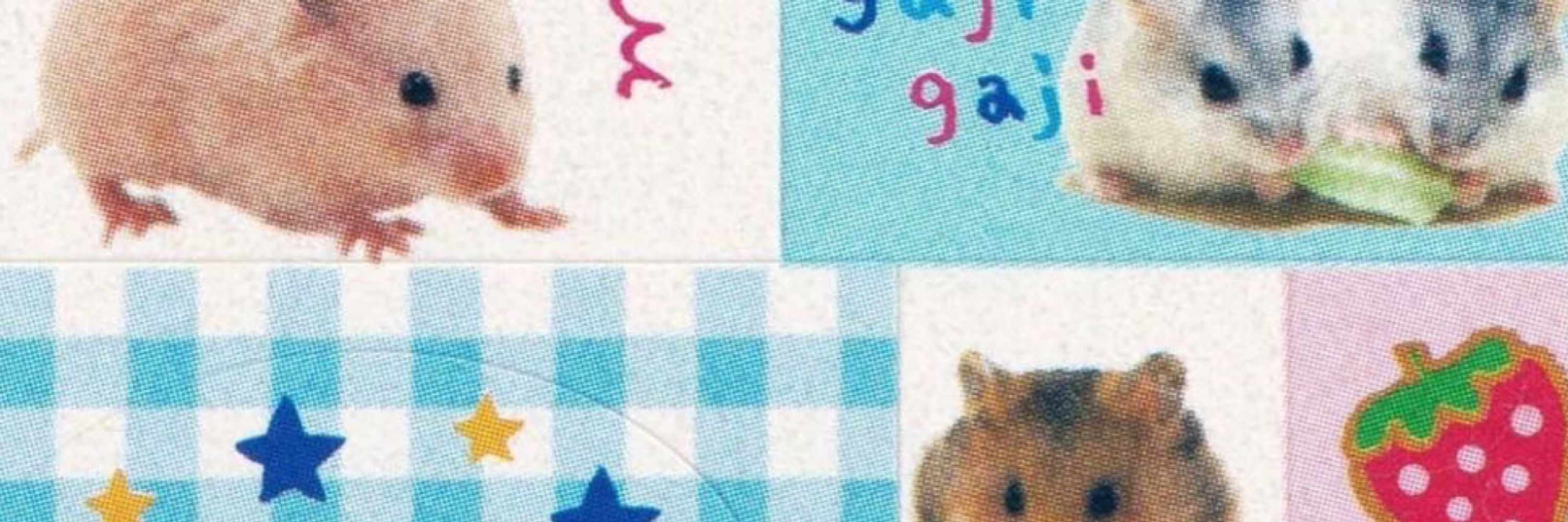 ˚₊‧꒰ა laken ໒꒱ ‧₊˚