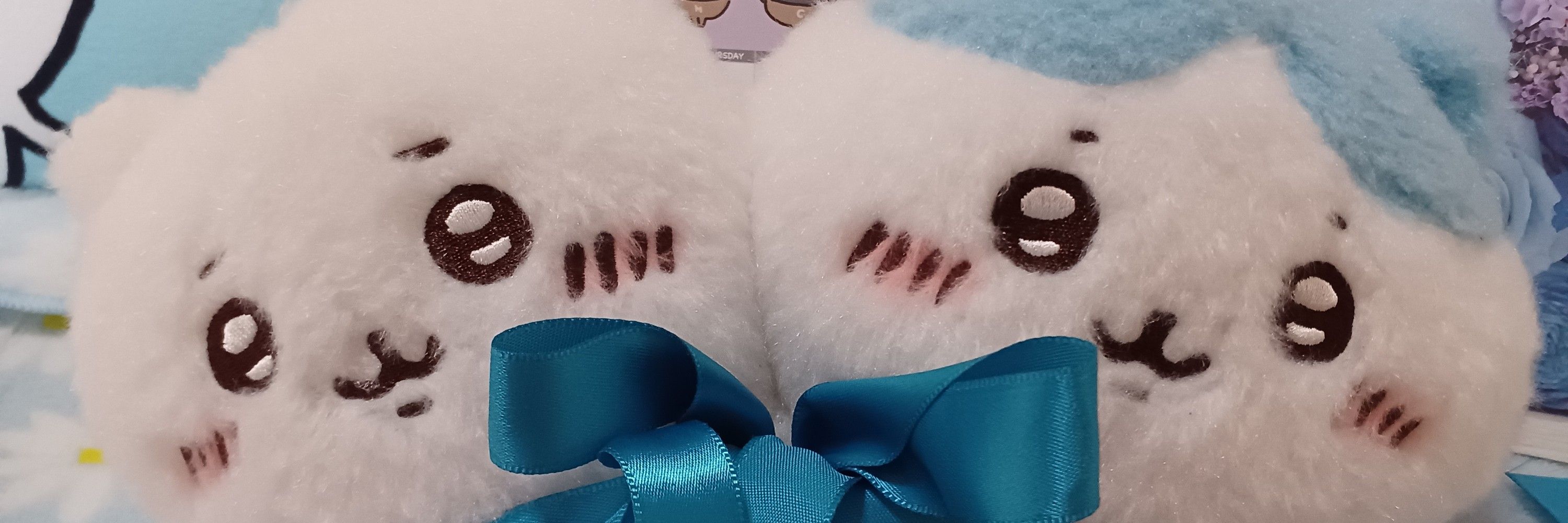 くぅ🌟 