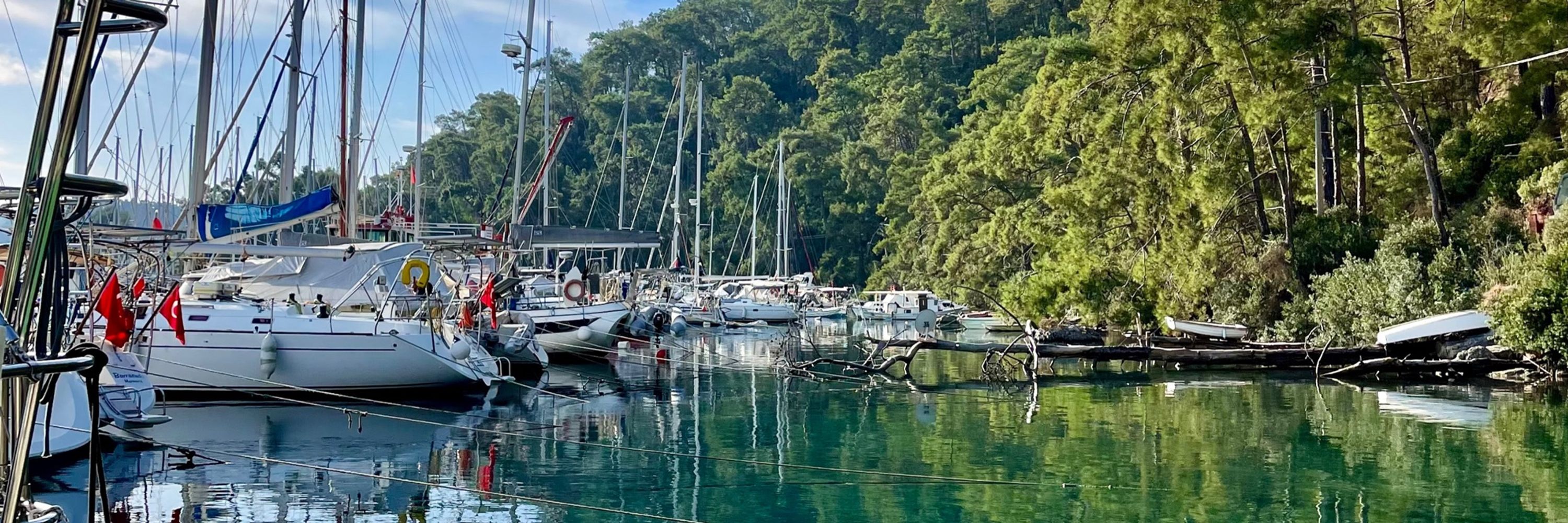 Gülüşan Küpçü
