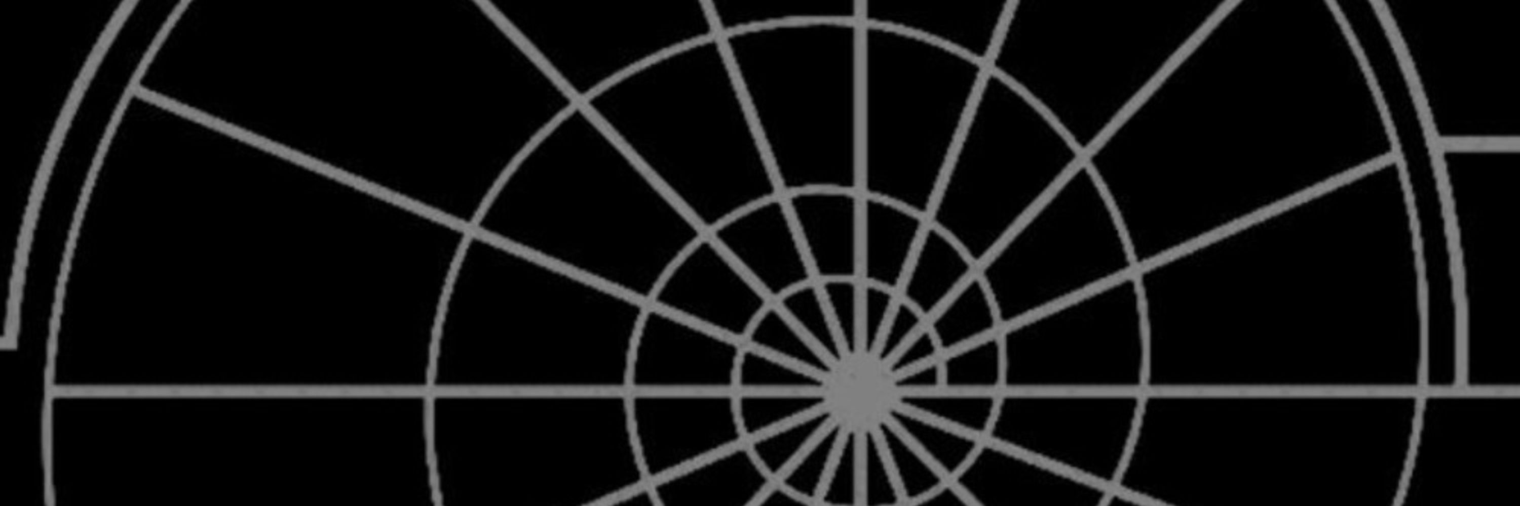 WiredRaven