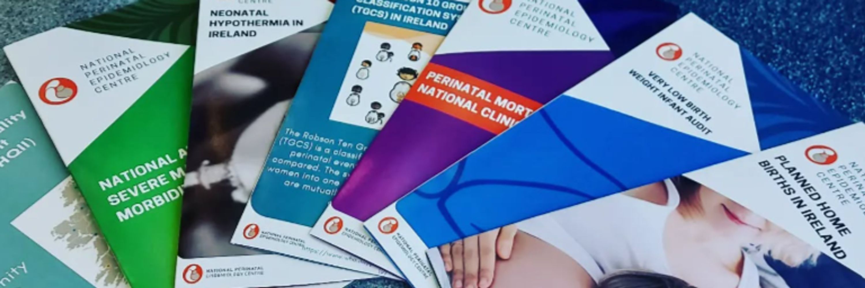 National Perinatal Epidemiology Centre (NPEC)