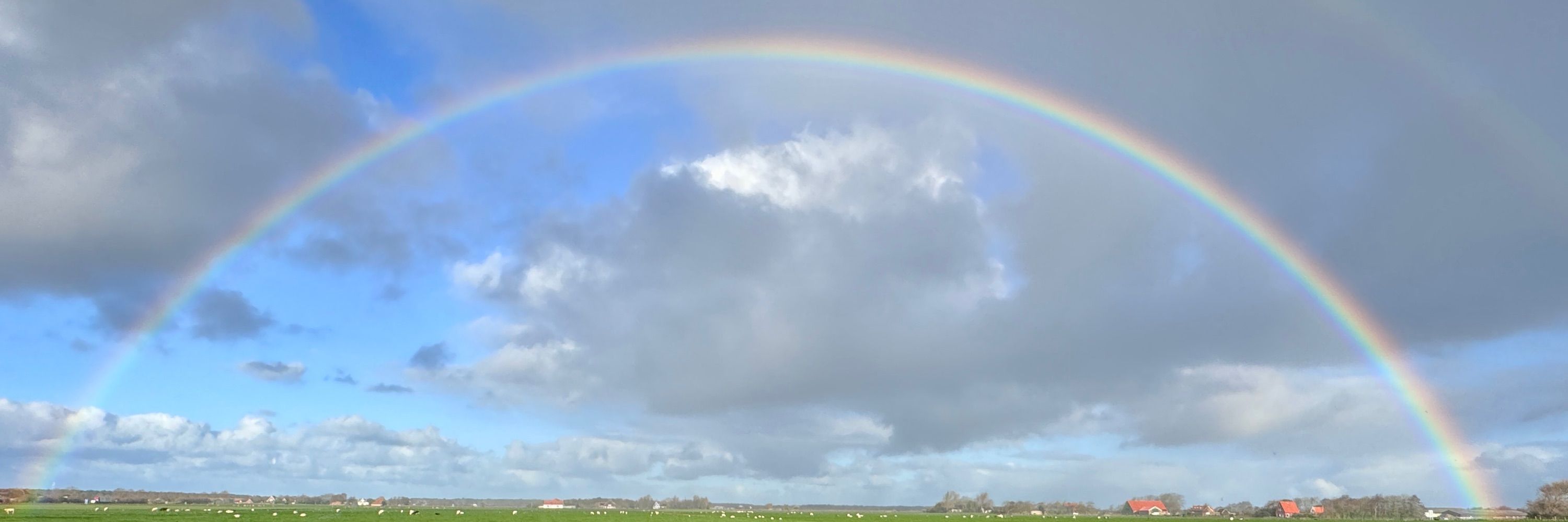 TexelTim