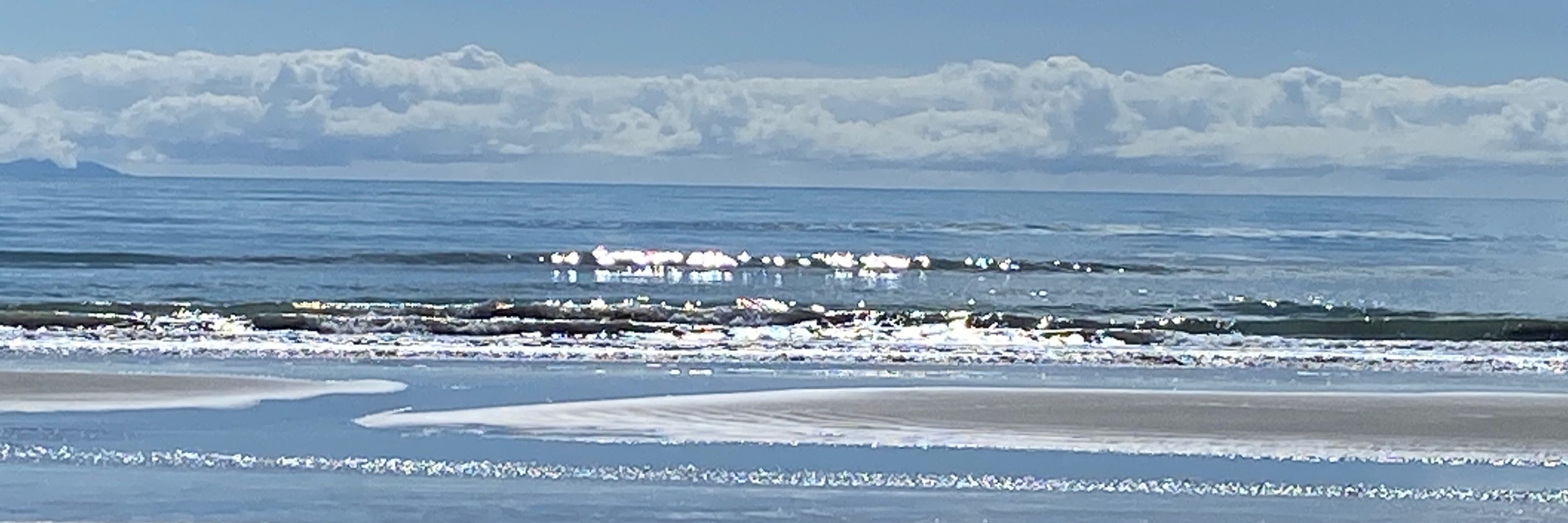 Kiwigran
