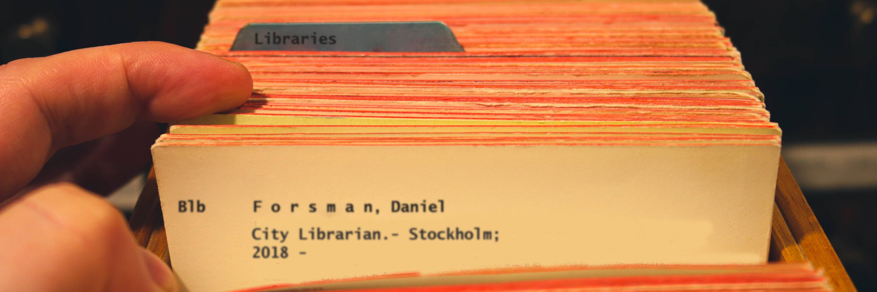 Daniel Forsman