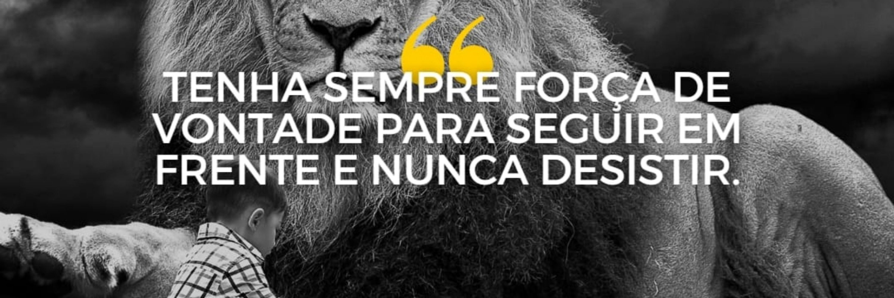 eder+7rede