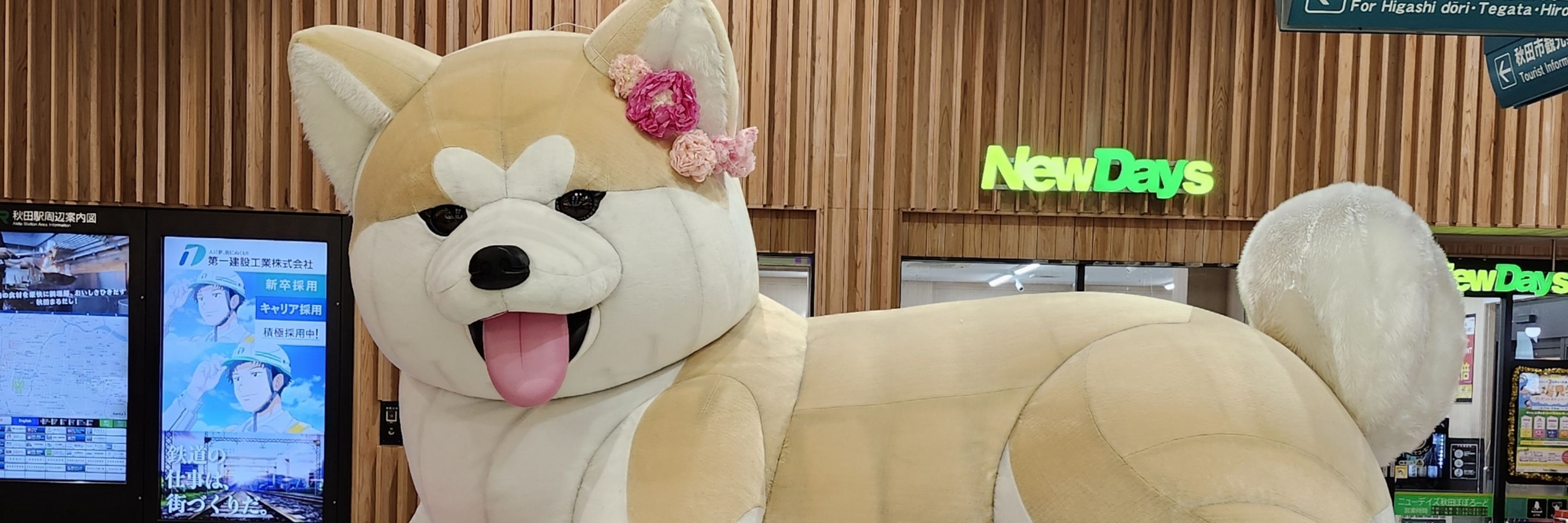 ふわふわのとり