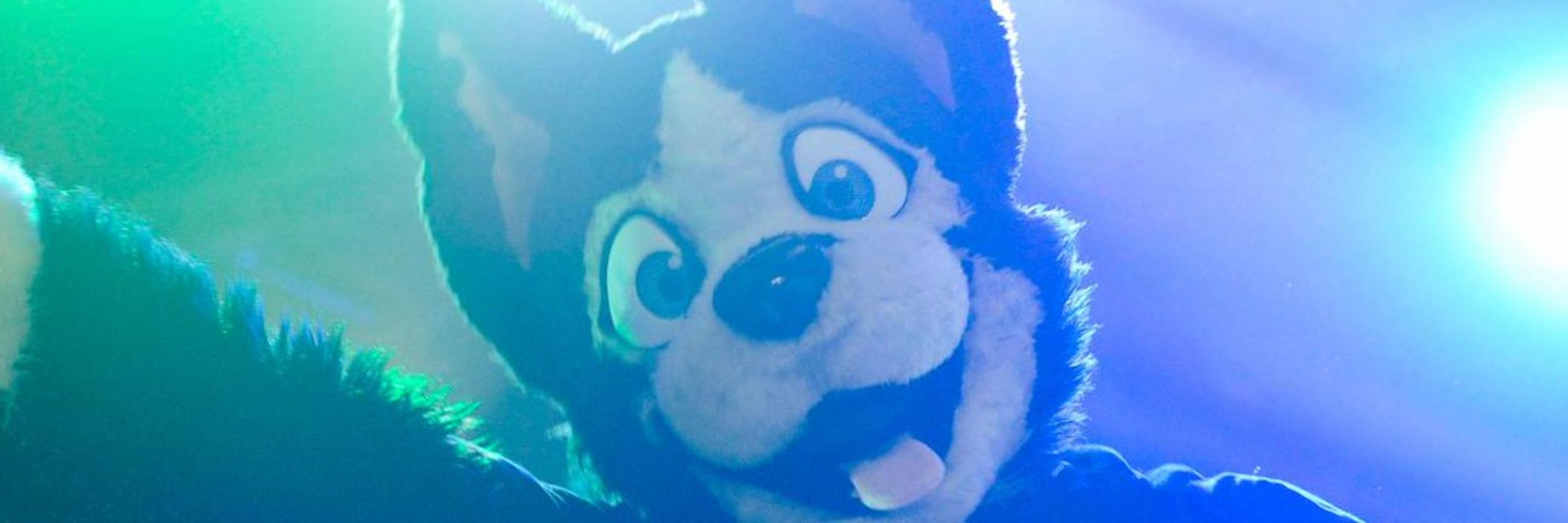 BUDDY! 🔜 Furlandia