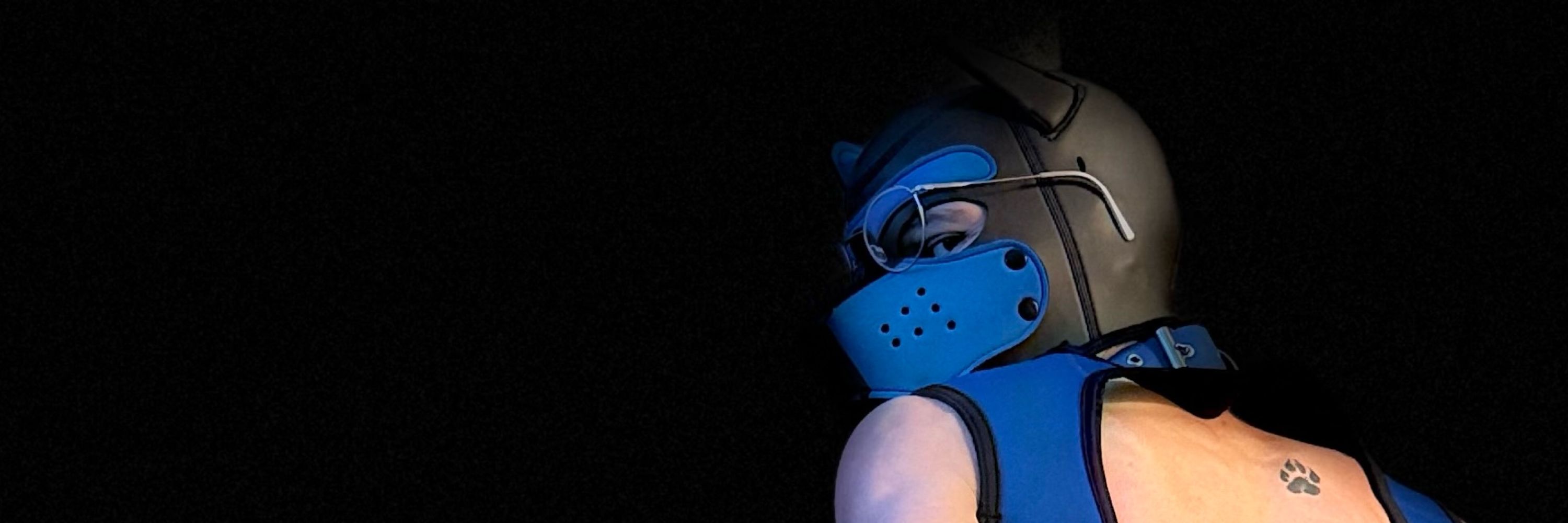 Nova Tha Service Pup 🔜 FWA + MP