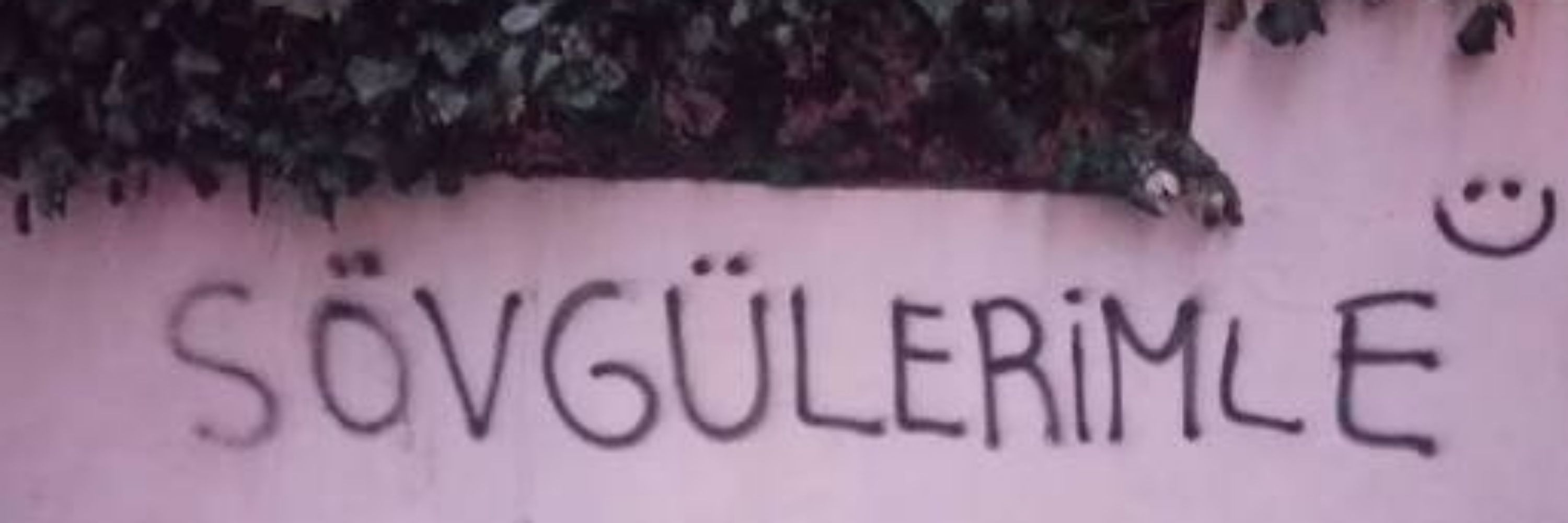 AşırıKemirgen