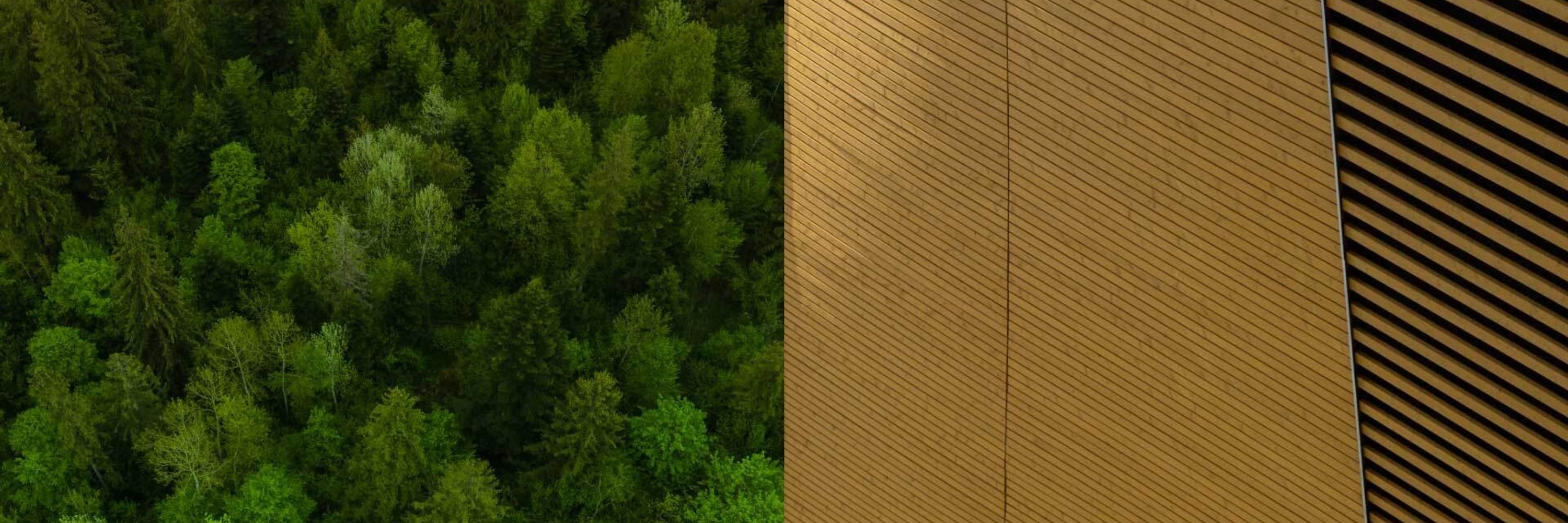 ForestPaths Project