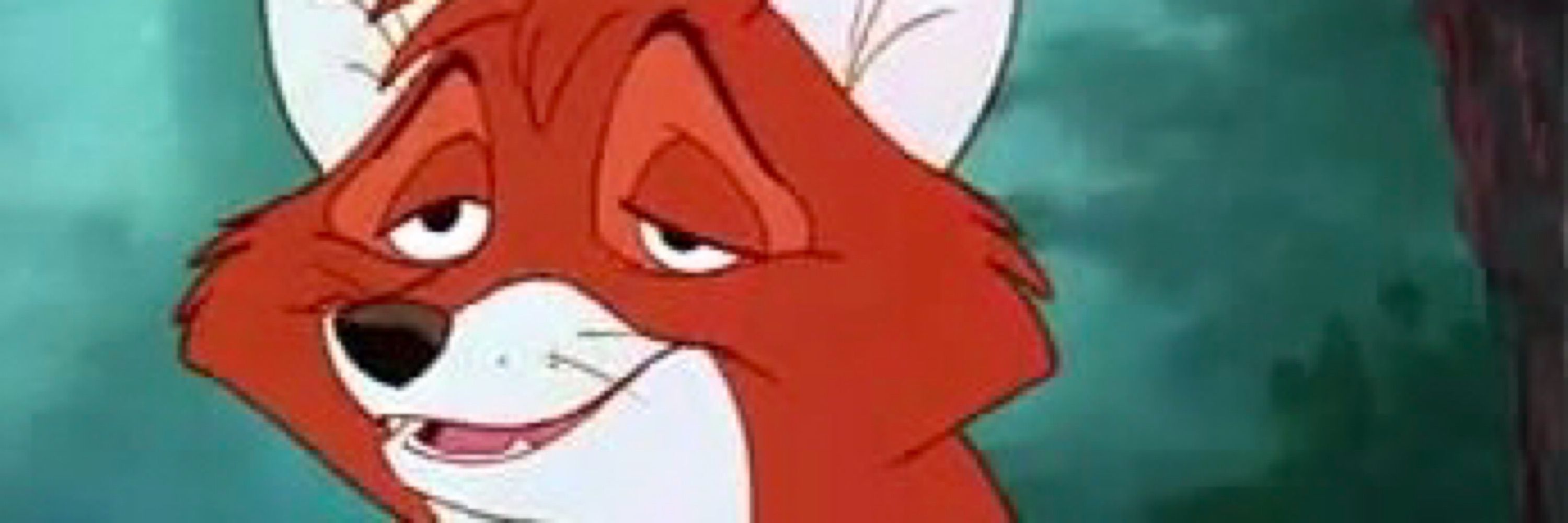 mfox