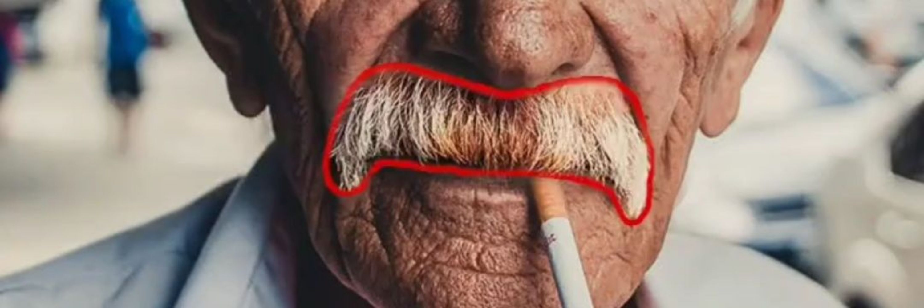 محّمدرضا