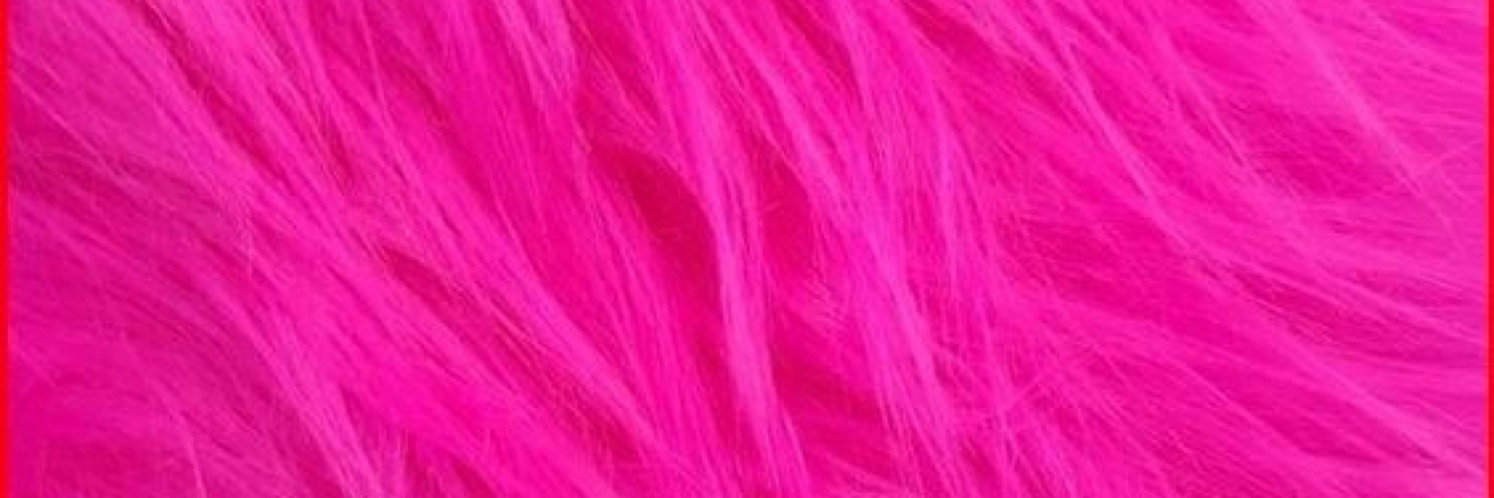🎀𝐹𝑒𝑒𝓃𝓎𝓍ᥫ᭡🎀