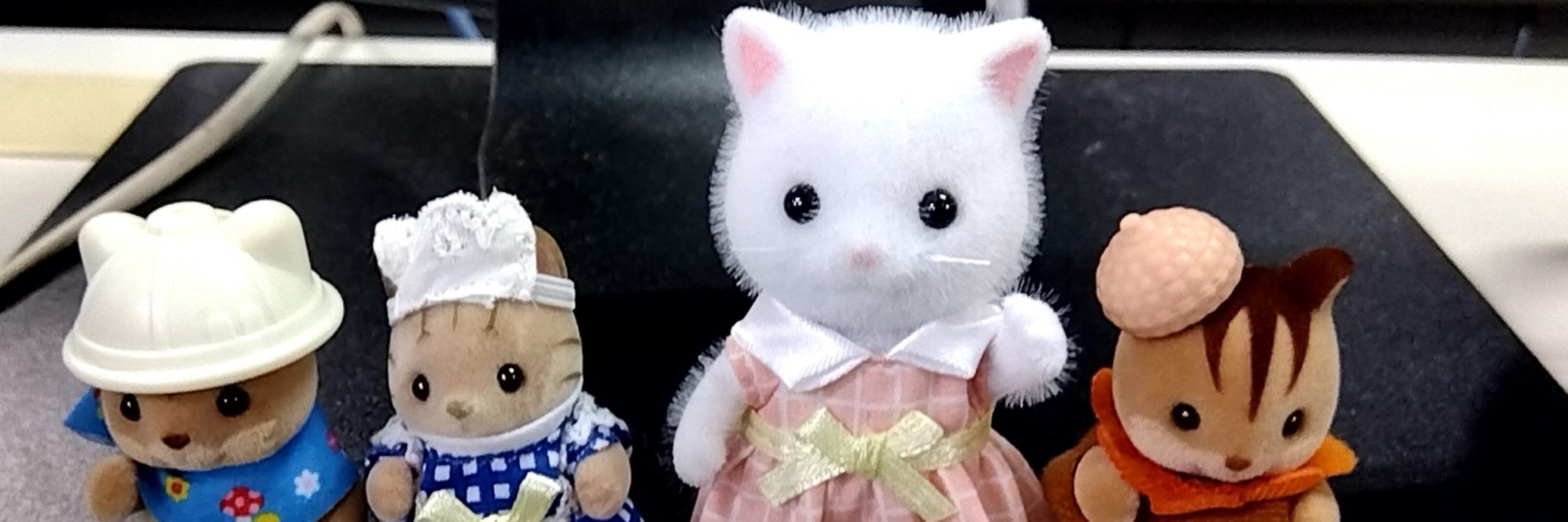 くろのん.R.Fはひよっこポーカープレイヤー