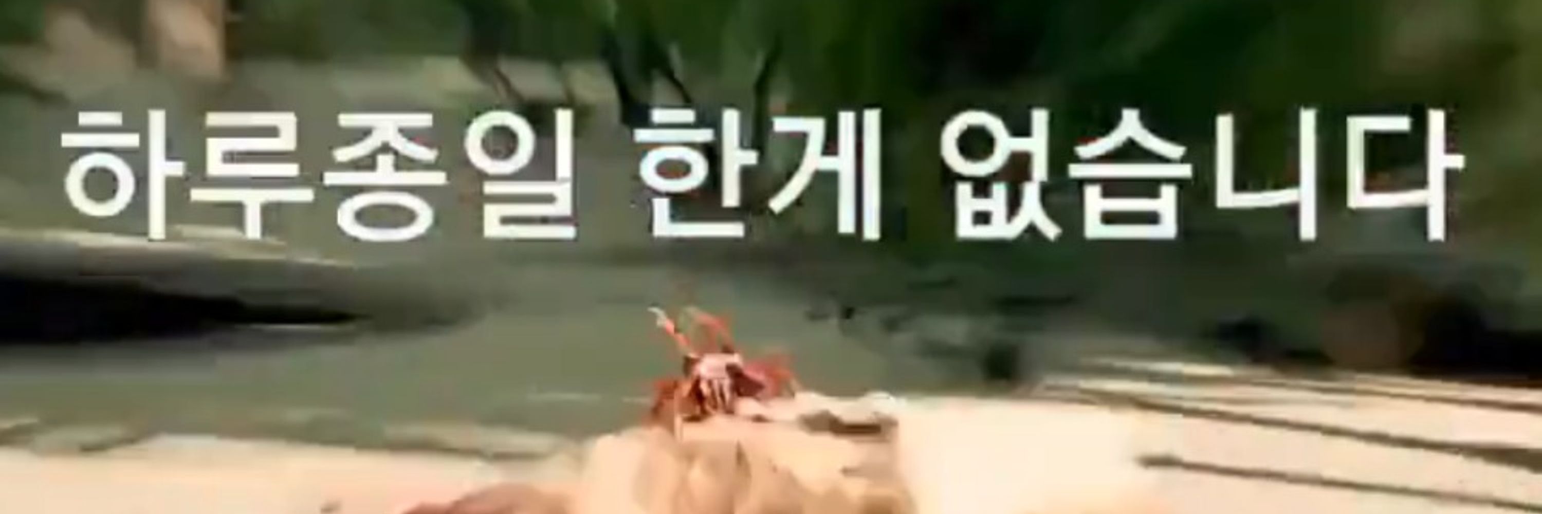 세오릴