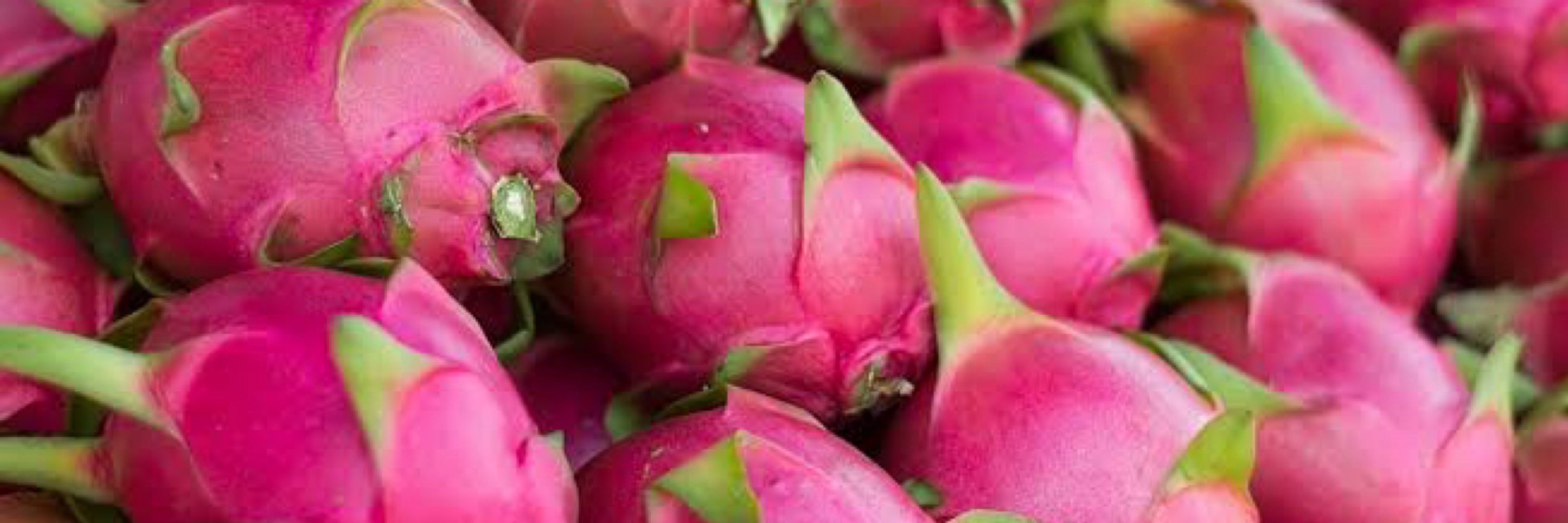 pitaya, linda sim, gostosa nem tanto