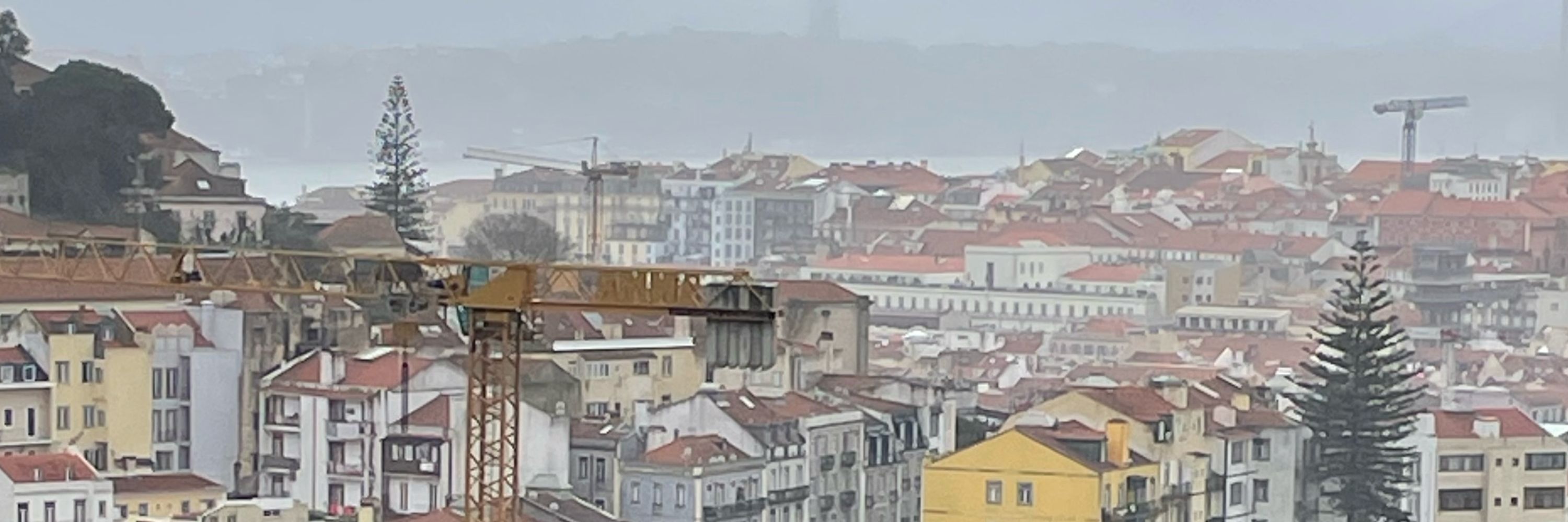 Bruno Silva