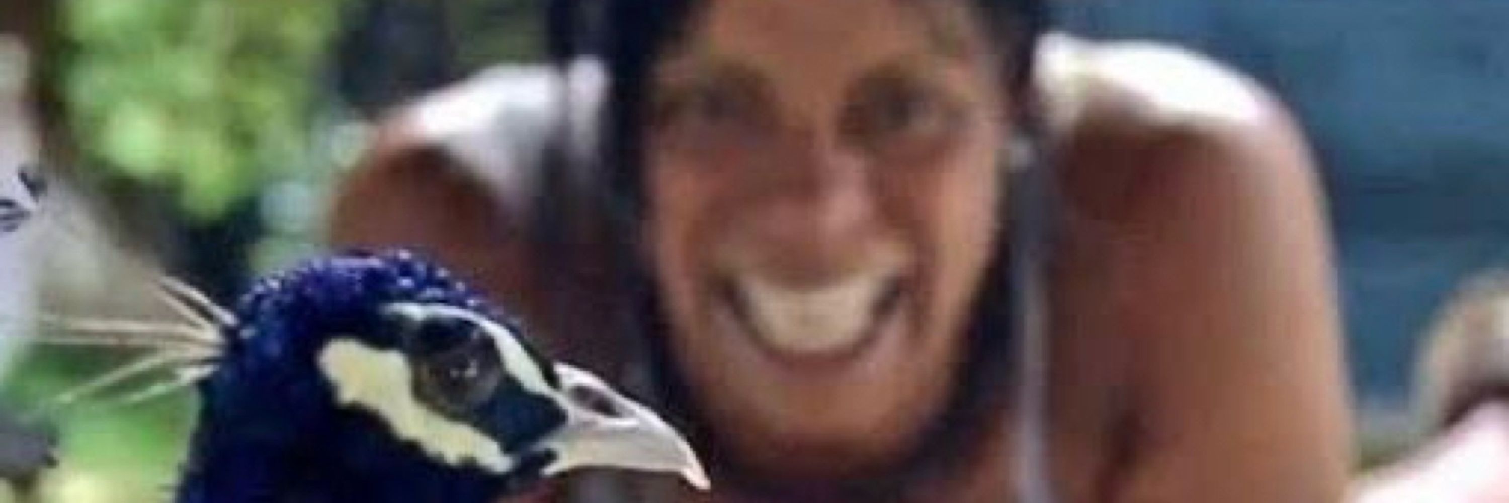 Rodriguez