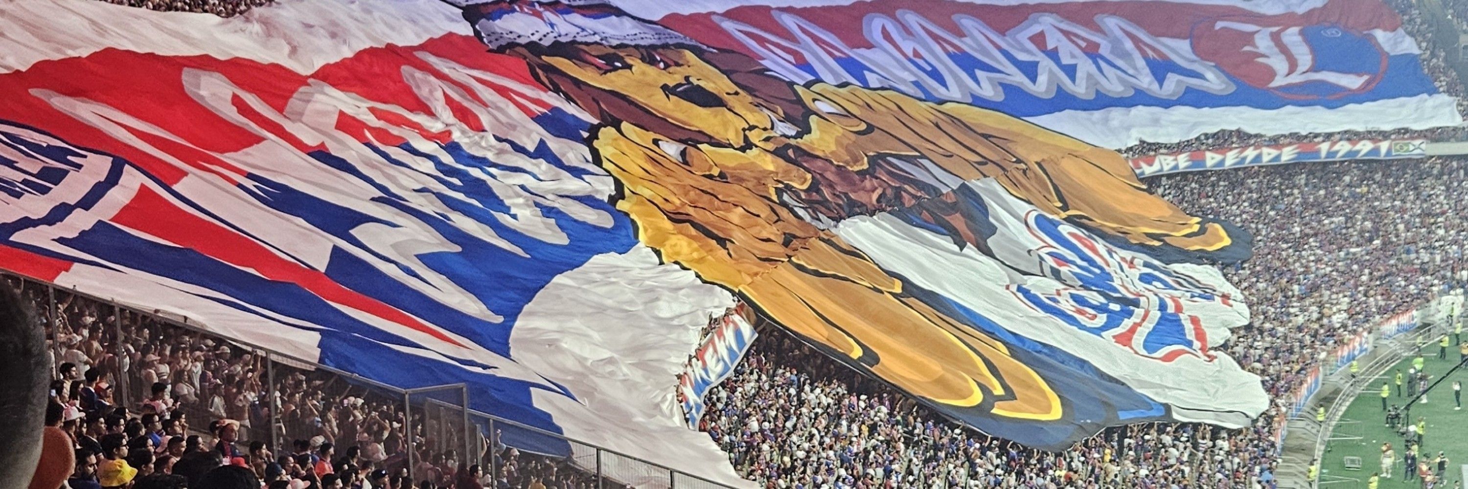 Sam 🇨🇵
