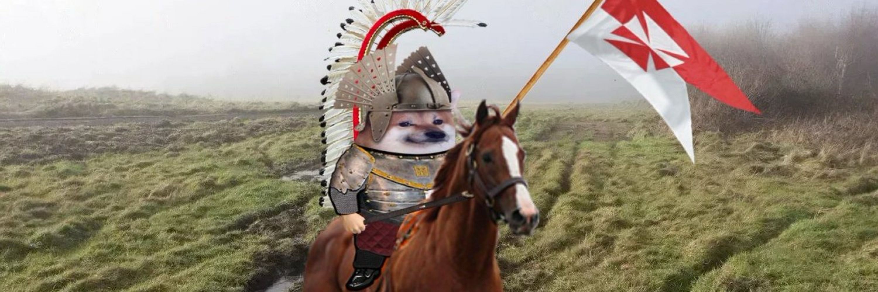 Hussar Fella 🌻