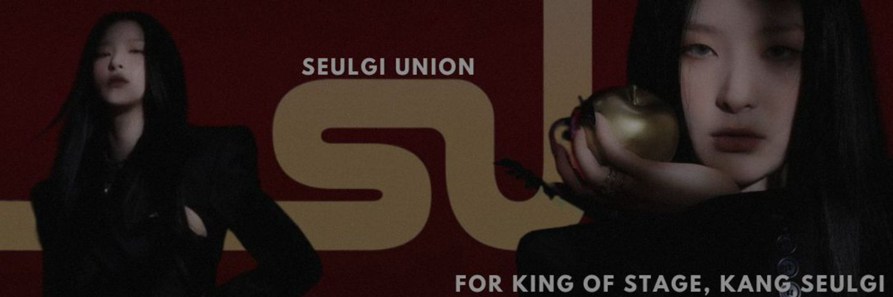 Seulgi Union
